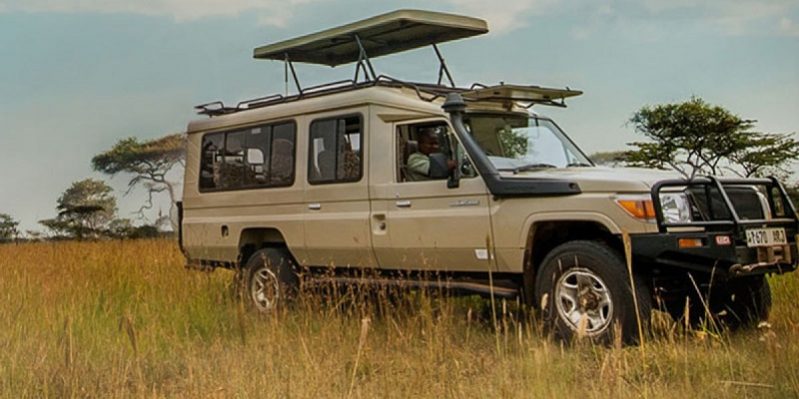 Top 4 4×4 Cars To Hire Uganda For A Comfortable Park Trip