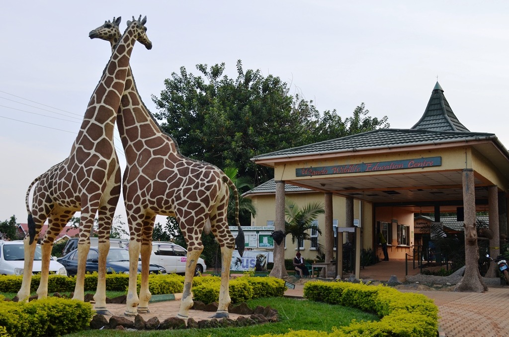 Uganda Zoo