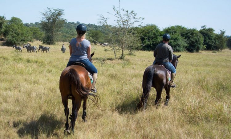 Horse Back Riding In Uganda