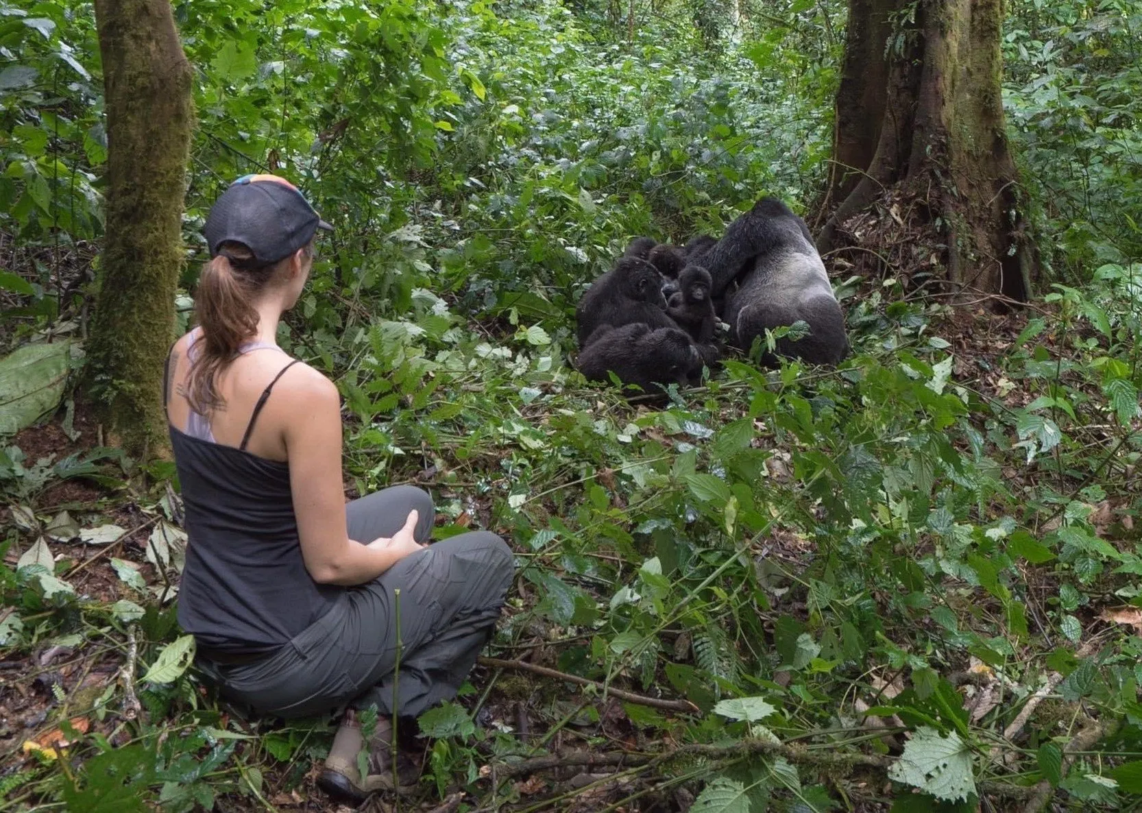 Why Gorilla Trekking In Bwindi Is A Must On A Uganda Safari
